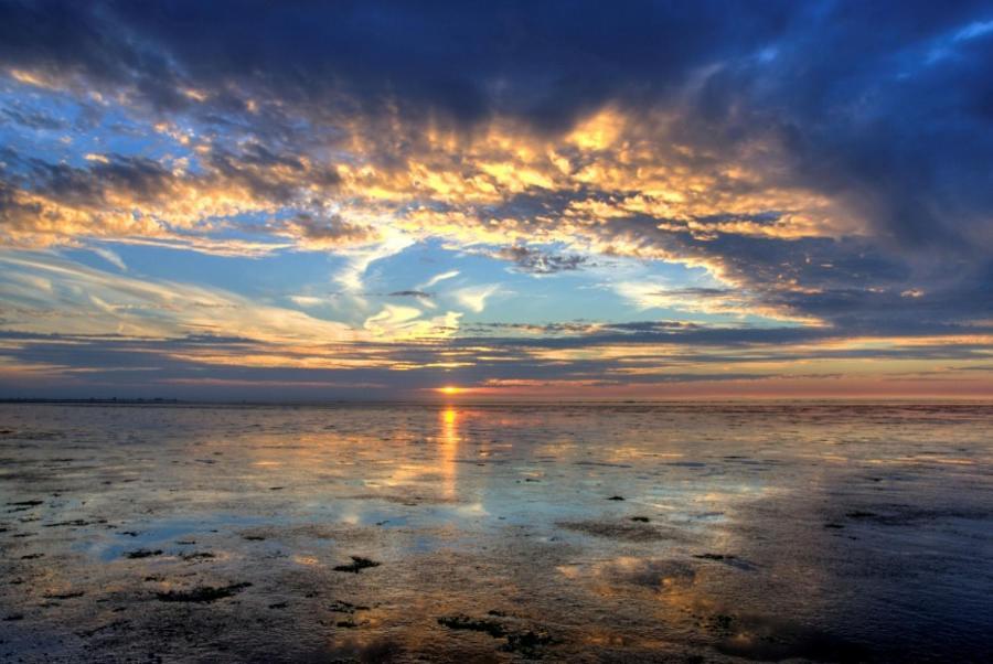 Camping Wad Noch Meer Anna Paulowna Exterior photo